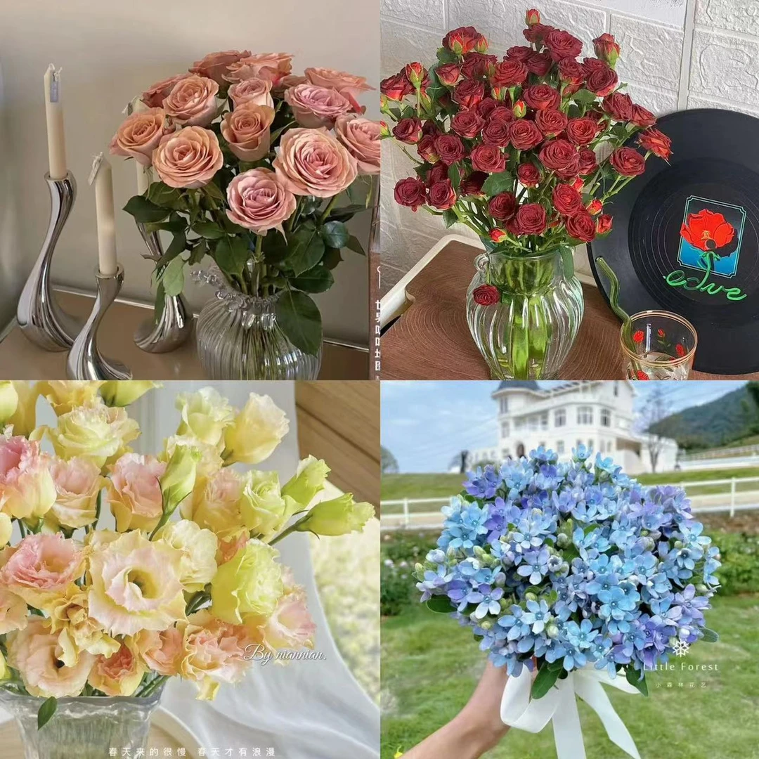 【顺丰包邮】卡布奇诺+巧克力+香槟洋桔梗+蓝星花（坤）