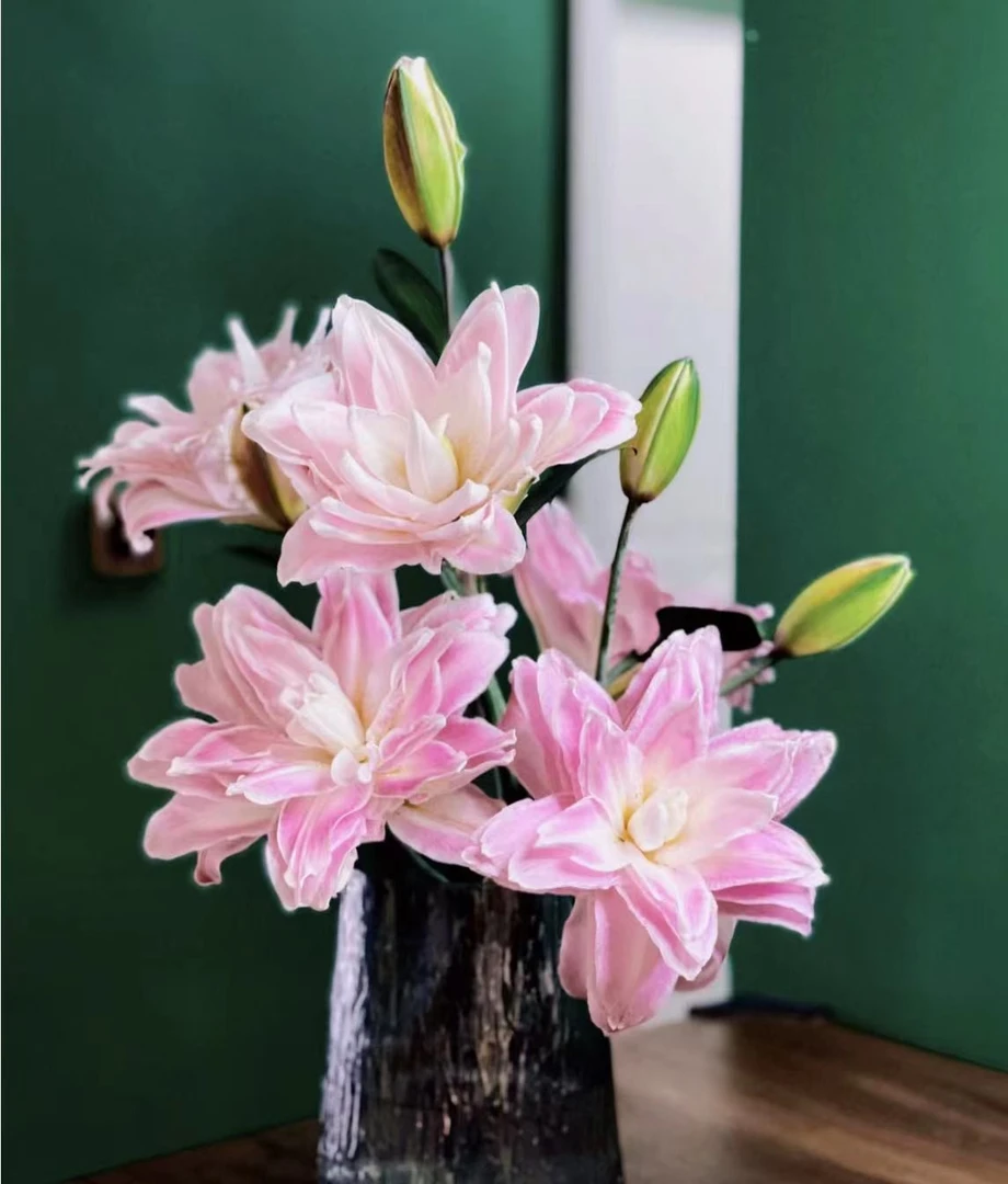 【莲花之境】莲花之境重瓣香水百合多头3枝（12-15个花苞），浓香（坤）