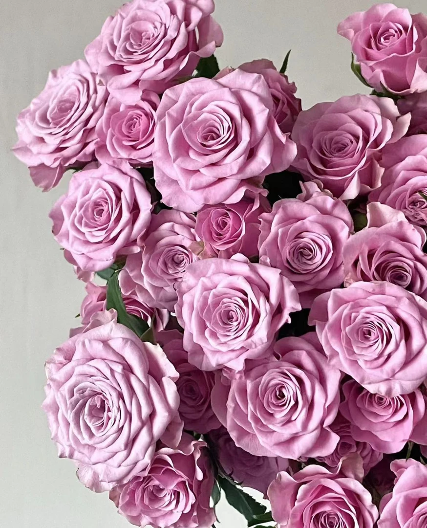 【诺拉】诺拉多头泡泡10枝高水位双倍可利鲜（坤