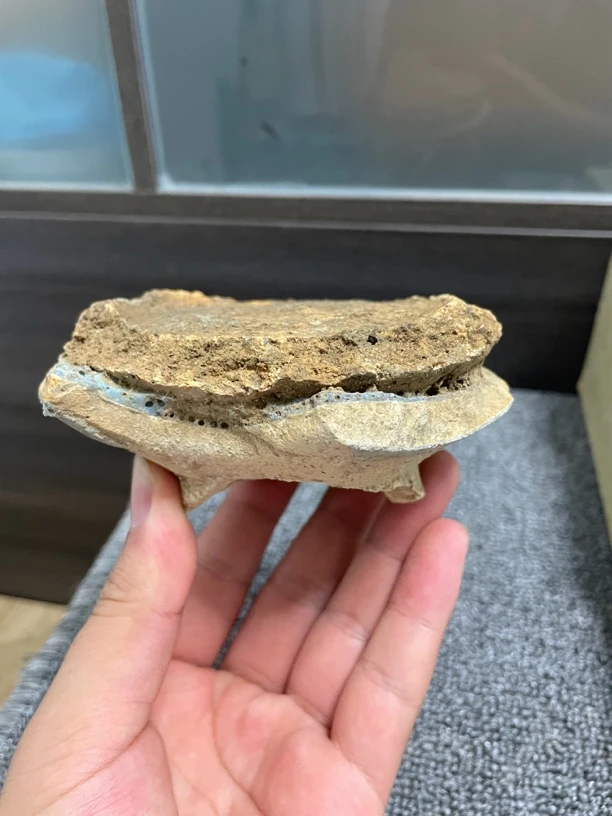 钧瓷钧窑窑址货标本瓷片
