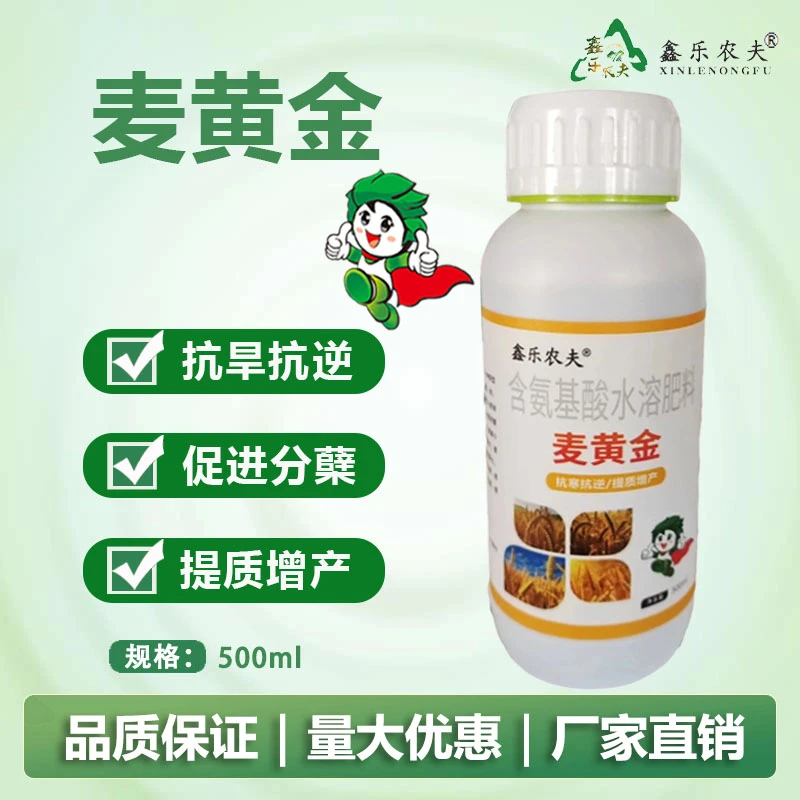 小麦肥高产分蘖抗倒伏籽粒粒增产套餐叶面肥麦黄金水溶肥生长