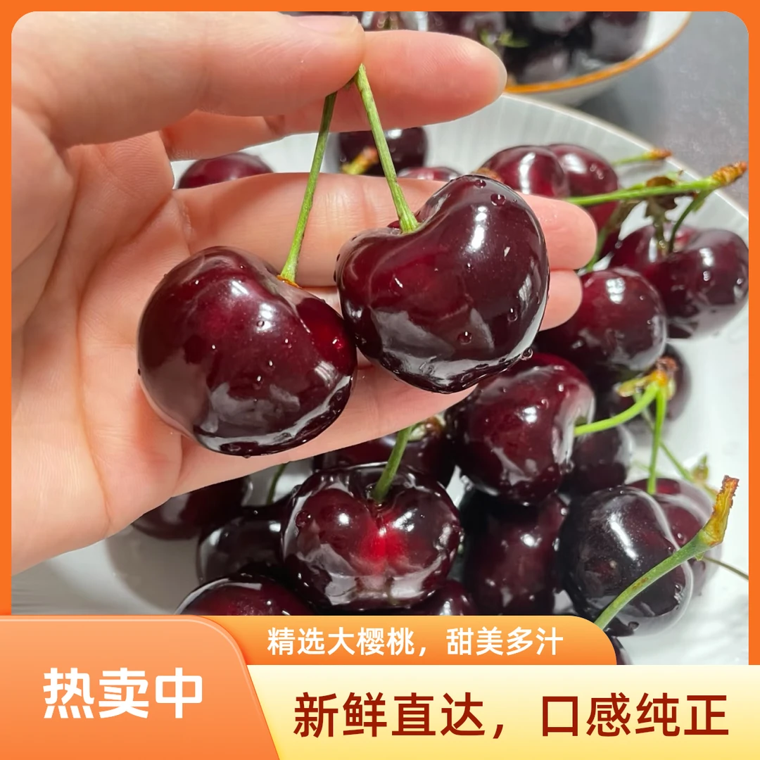 【智利进口桑提娜】现货直发顺丰包邮明日送达