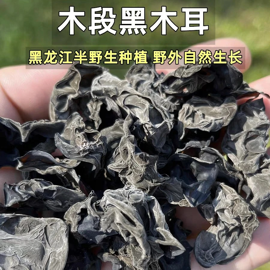 小兴安岭伊春林区柞木耳椴木耳半野生木耳肉头包邮