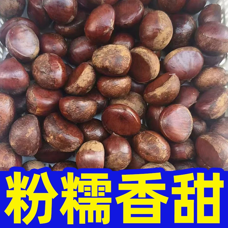 新鲜板栗丹东板栗生栗子大板栗现摘现发软糯香甜袋装