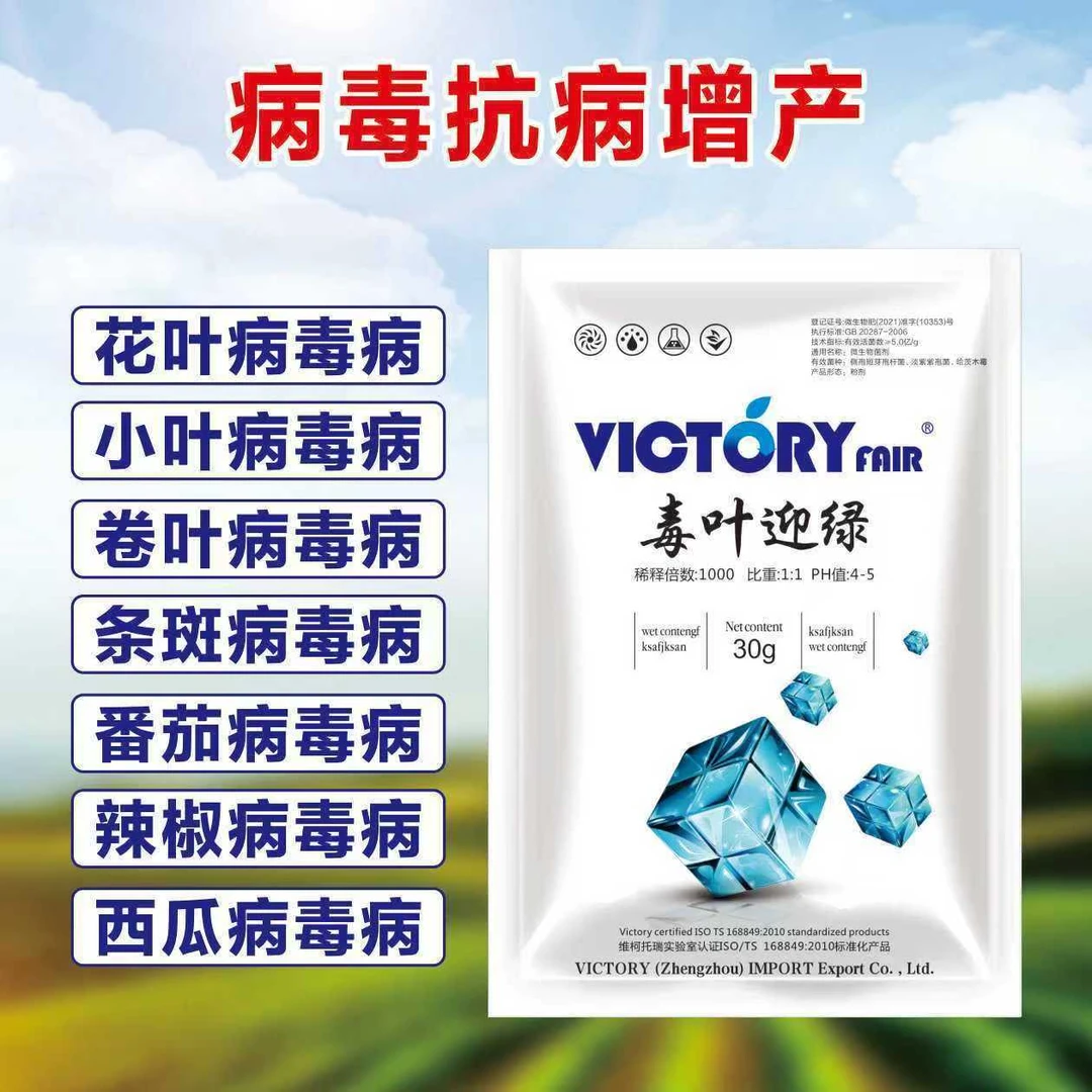 毒叶迎绿 辣椒黄瓜番茄花叶卷叶小叶皱缩病毒病专治微生物菌剂