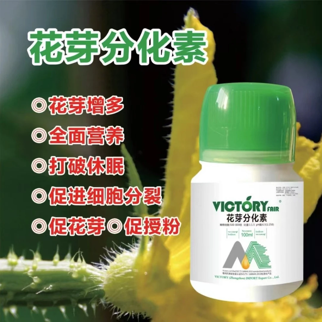 花芽分化素 草莓葡萄番茄授粉 多开花现蕾促花芽促进细胞分裂
