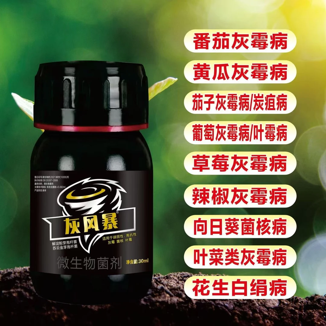 灰风暴 草莓 番茄 黄瓜 葡萄 灰霉病专用微生物菌剂