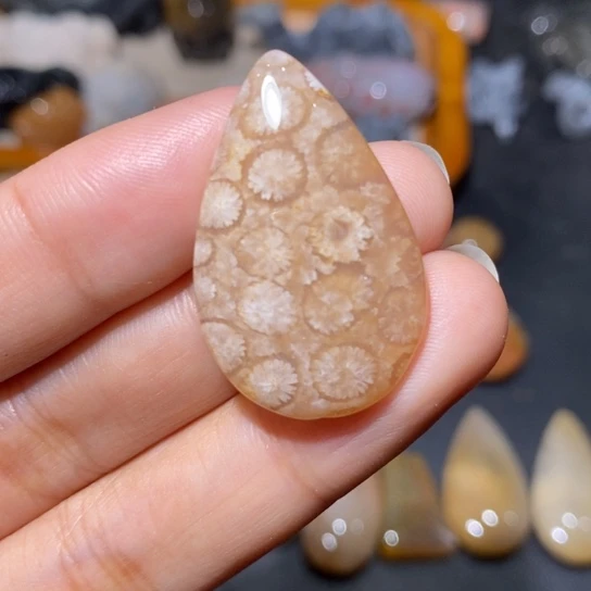 硅化玉颈饰未镶嵌