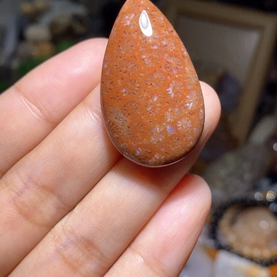 【闪购商品】硅化玉颈饰未镶嵌
