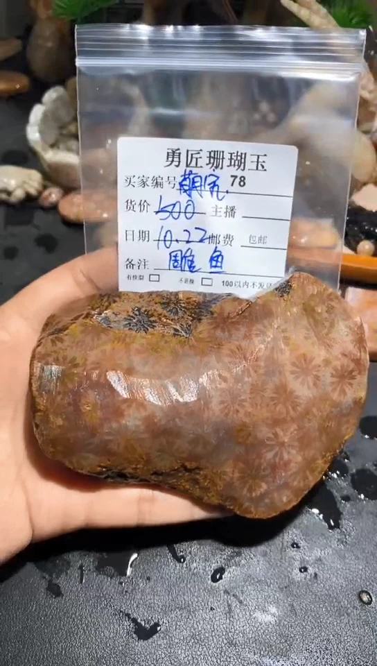 【闪购商品】硅化玉颈饰未镶嵌雕鱼工费