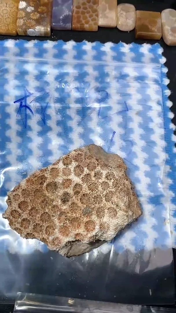 【闪购商品】硅化玉颈饰未镶嵌.