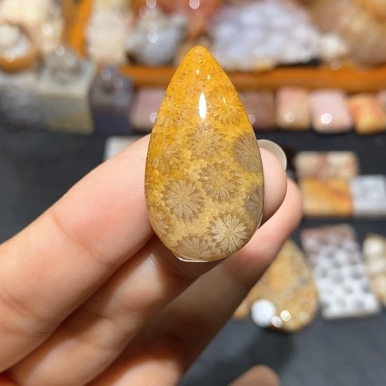 【闪购商品】硅化玉颈饰未镶嵌