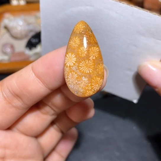 【闪购商品】硅化玉颈饰未镶嵌