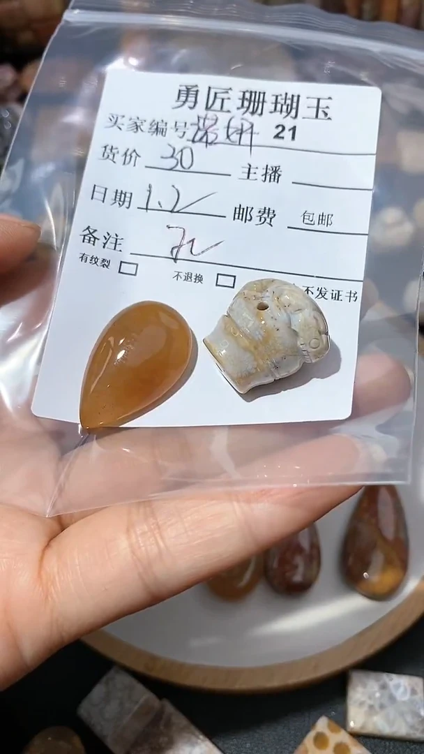 【闪购商品】硅化玉颈饰未镶嵌21