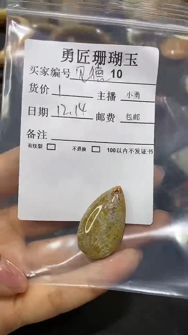 【闪购商品】硅化玉颈饰未镶嵌10