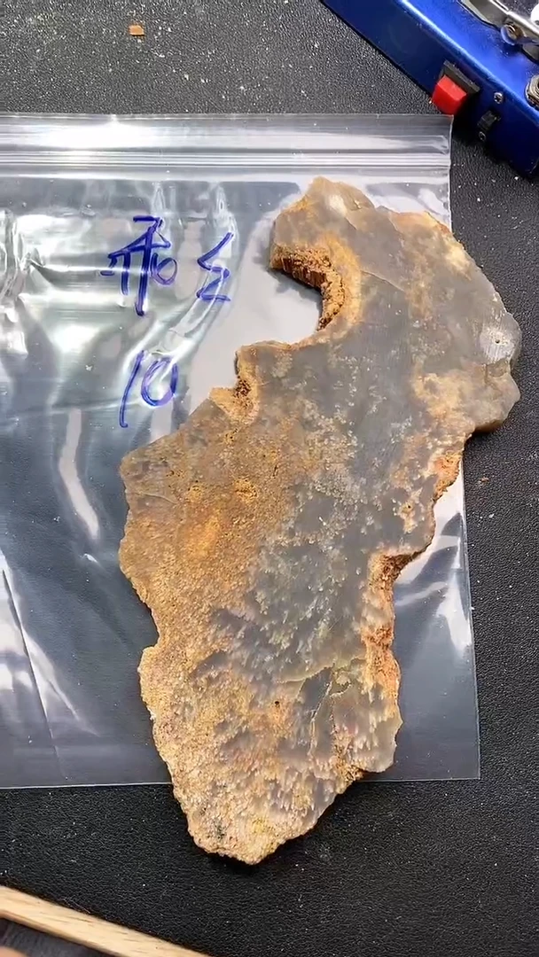 【闪购商品】硅化玉颈饰未镶嵌.