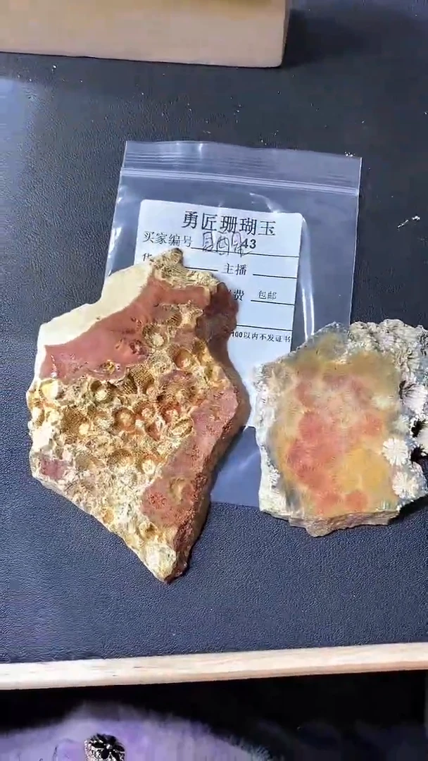 【闪购商品】硅化玉颈饰未镶嵌43