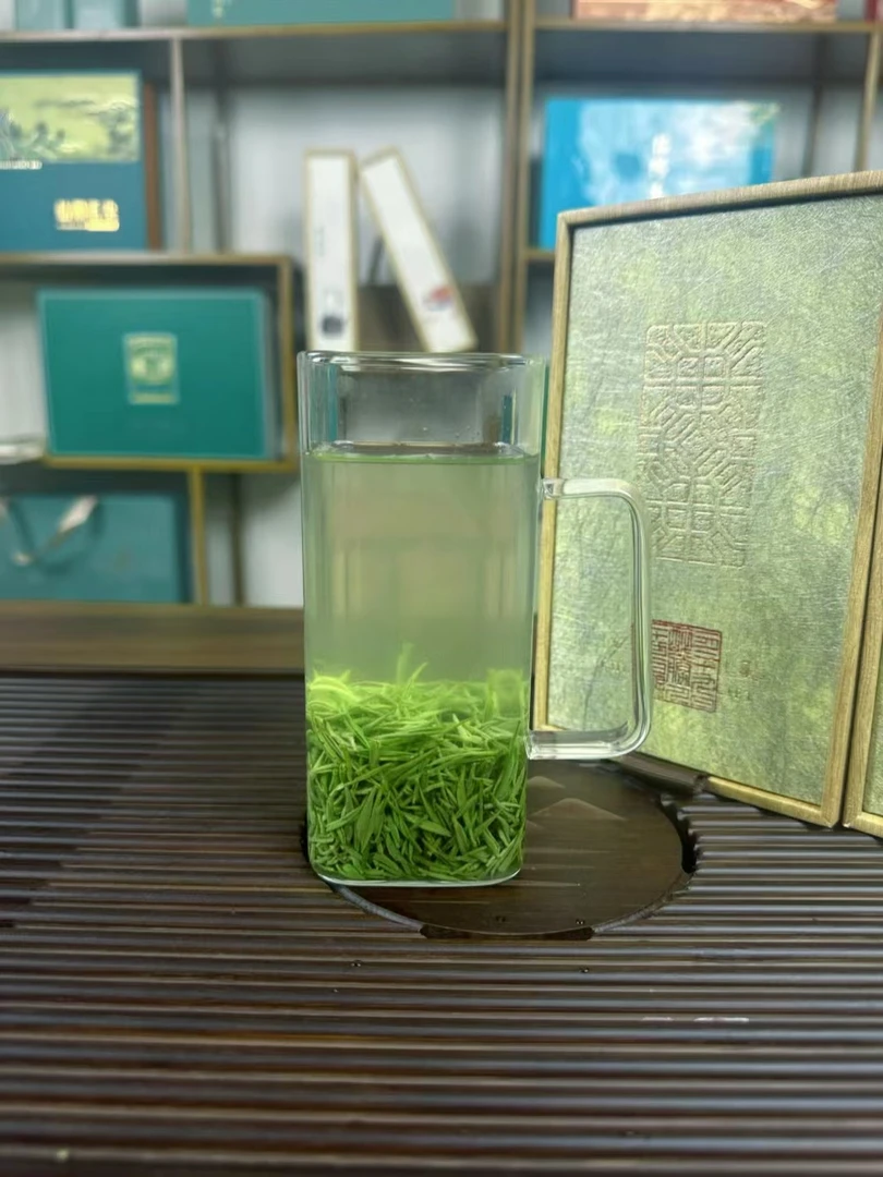 2024新茶信阳毛尖特产明前茶明前头采小芽清香绿茶