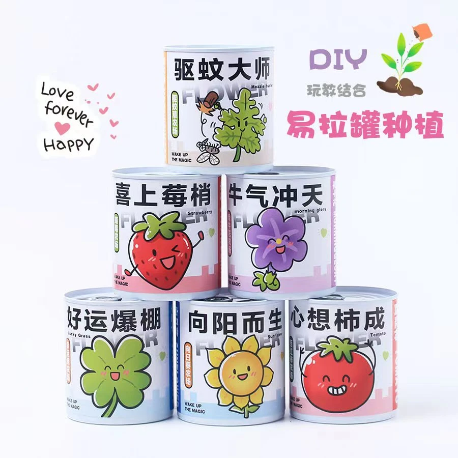 卡通易拉罐盆栽室内迷你桌面绿植儿童种植网红罐头栽培观察防腐