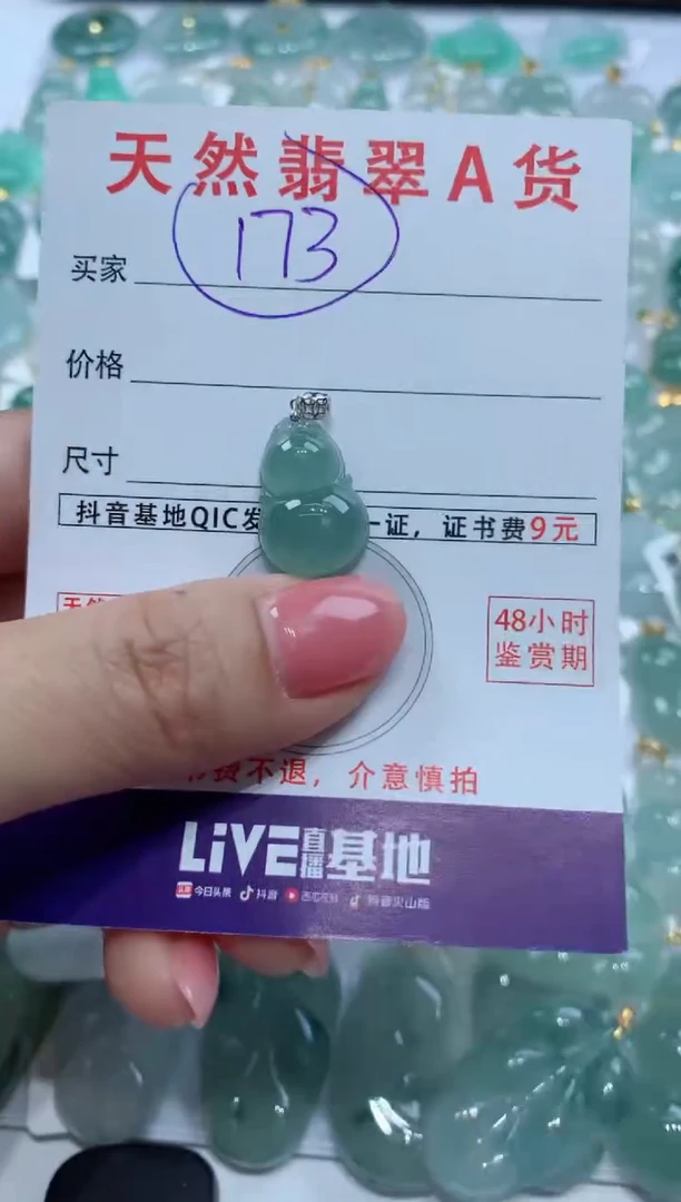 【闪购商品】翡翠颈饰未镶嵌天然A货翡翠