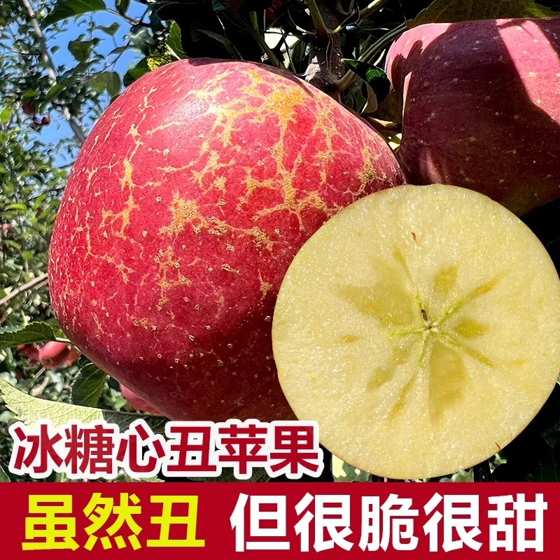 云南高原冰糖心脆爽清甜苹果