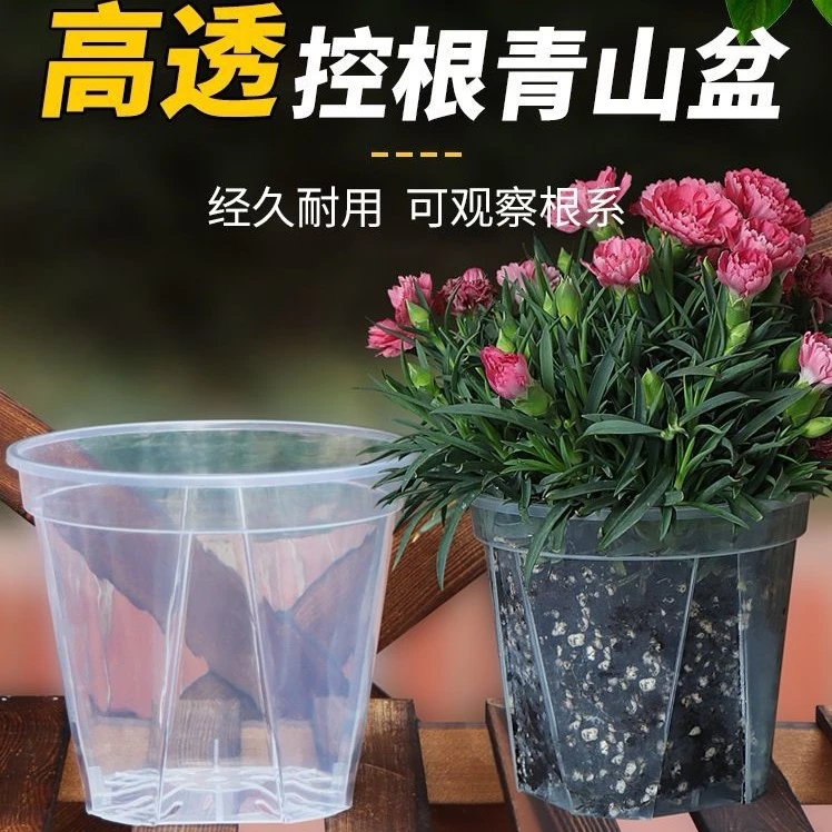 蝴蝶兰兰花控根盆塑料养根盆海芋花烛蔓绿绒镂空透明花盆2024新款