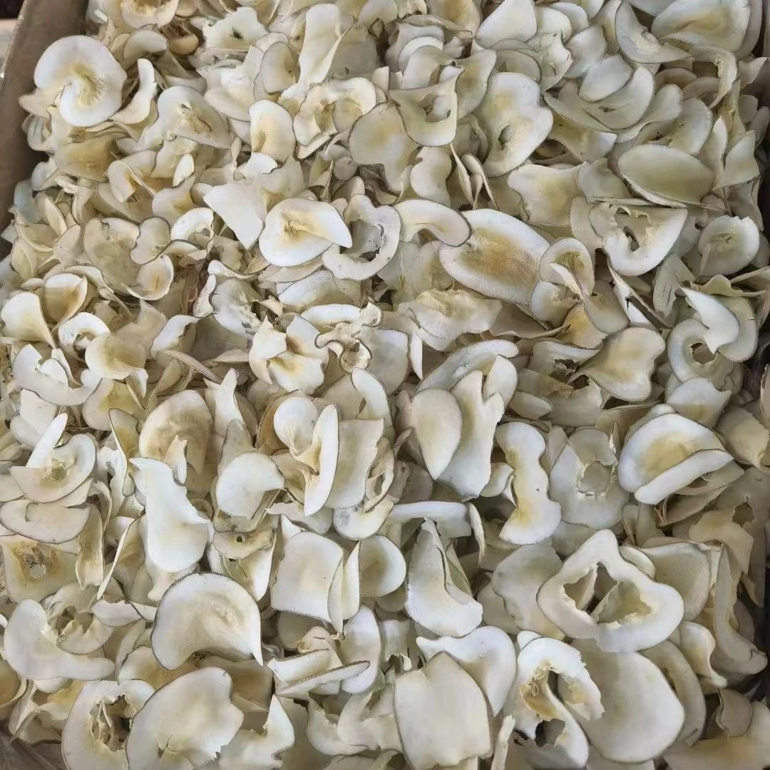 【精选海底椰】原色无硫煲汤材料 250克-500克