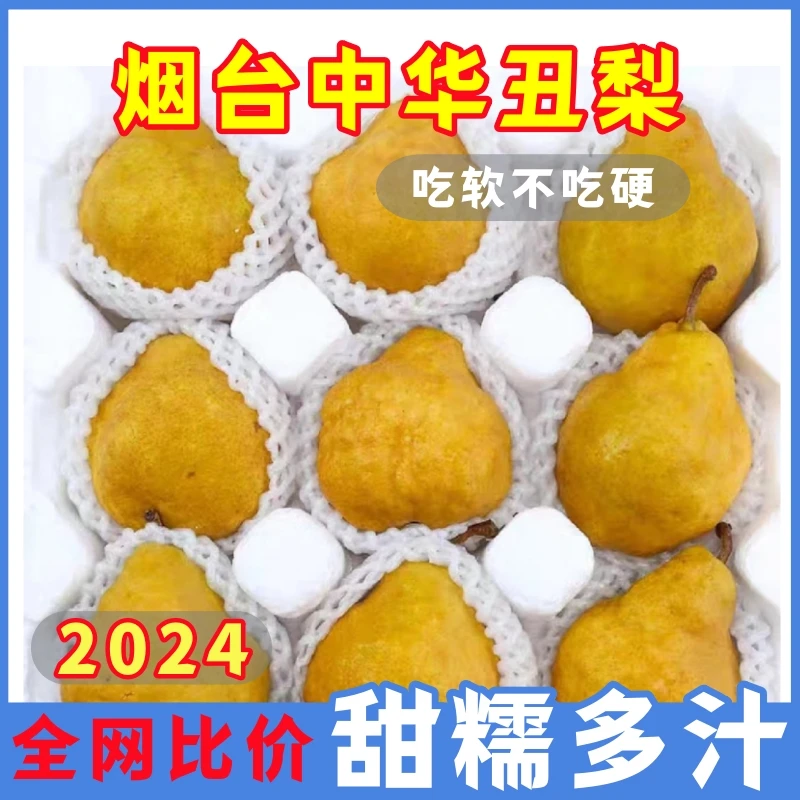 【放软吃】烟台中华丑梨多汁甜糯软梨正宗新鲜太婆莱阳啤梨大果水果