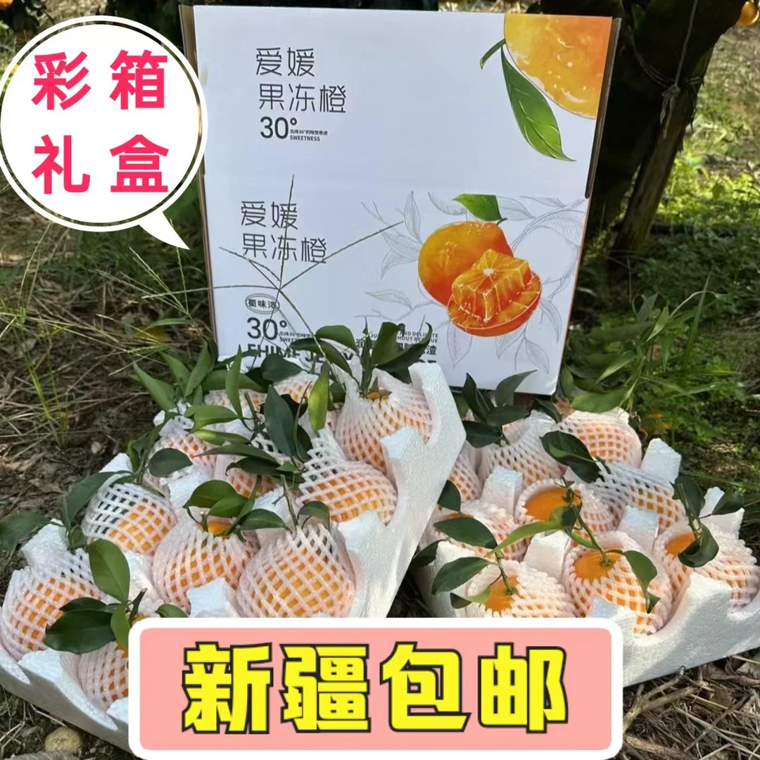 【新疆包邮】眉山核心产区爱媛果冻橙产地直采汁水充足2.5-4公斤
