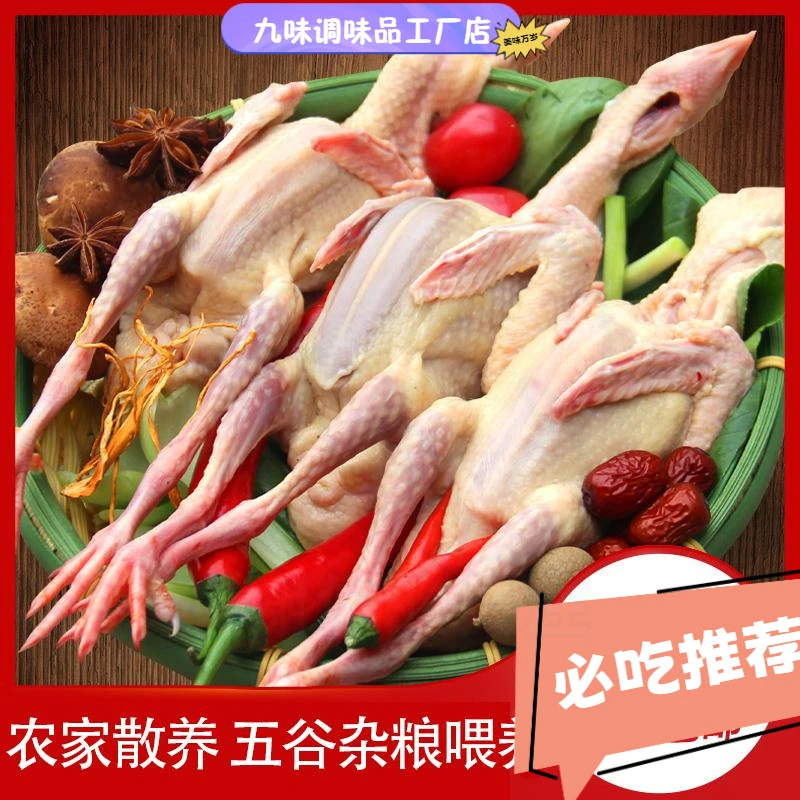 Z鸽子新鲜现杀乳鸽生鲜非老鸽子土鸽子鲜嫩农家土鸽子2/3只营养好