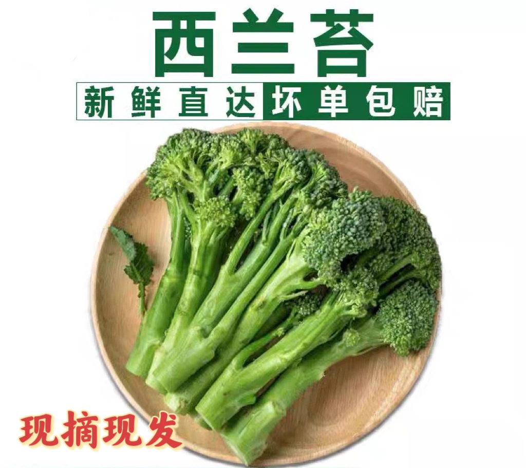 西兰苔【顺丰发货】甜杆新鲜蔬菜手指西兰花苔兰花苔青花苔青花菜