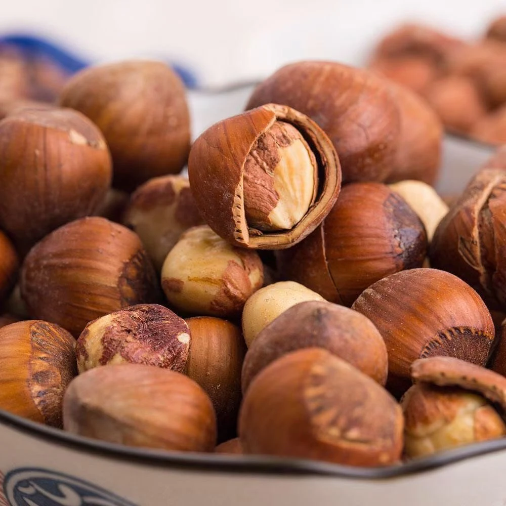 大飞家东北辽宁铁岭大榛子（熟）