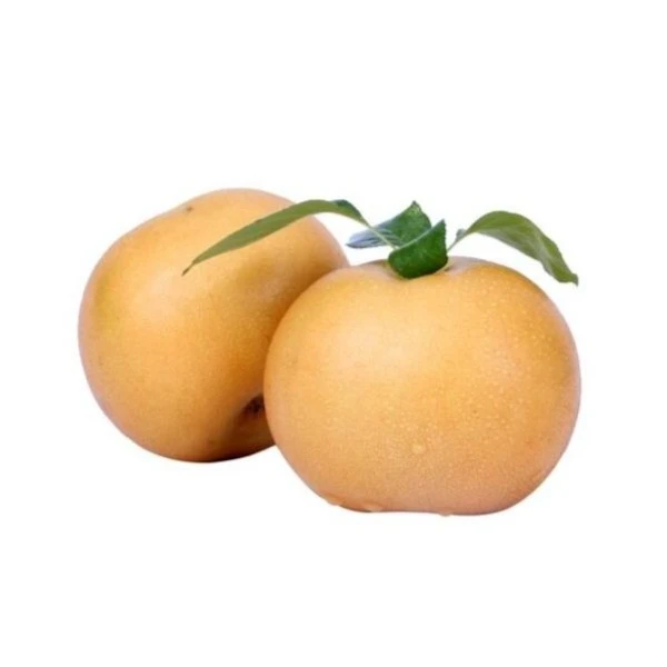 新鲜水果甜秋月梨1kg