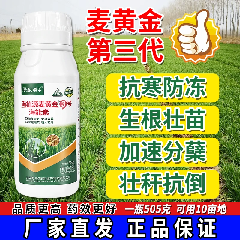 【麦黄金3号】抗寒防冻生根壮苗促分蘖促茎抗逆抗倒穗大粒饱叶面肥