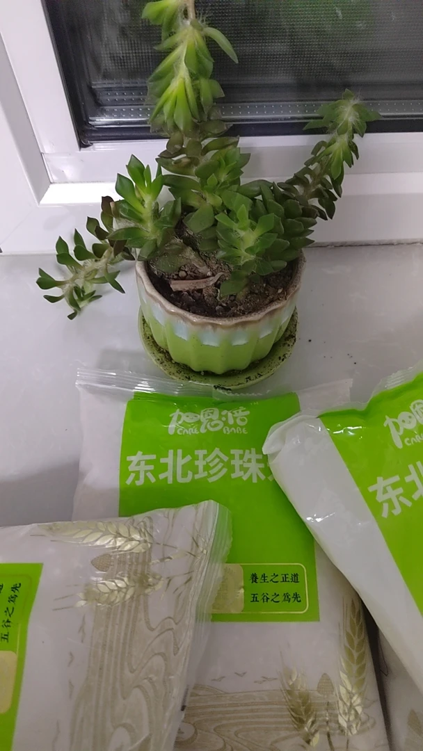 到手一包700克  破损丢件联系客服绿植盆栽商家