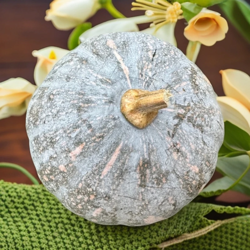 农作物（香瓜）拍此单需联系客服再下单