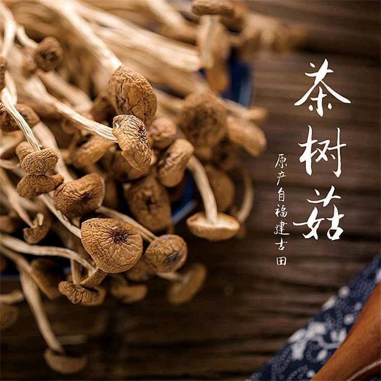 2023新货农家精选茶树菇净重千货特产级不开伞嫩散装新鲜盖嫩柄脆