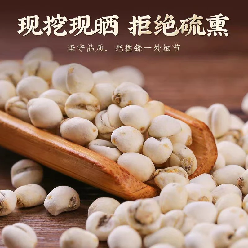 川贝母颗粒500g/100g/30g新货平贝煮水煲汤可配 白莲子 雪梨干