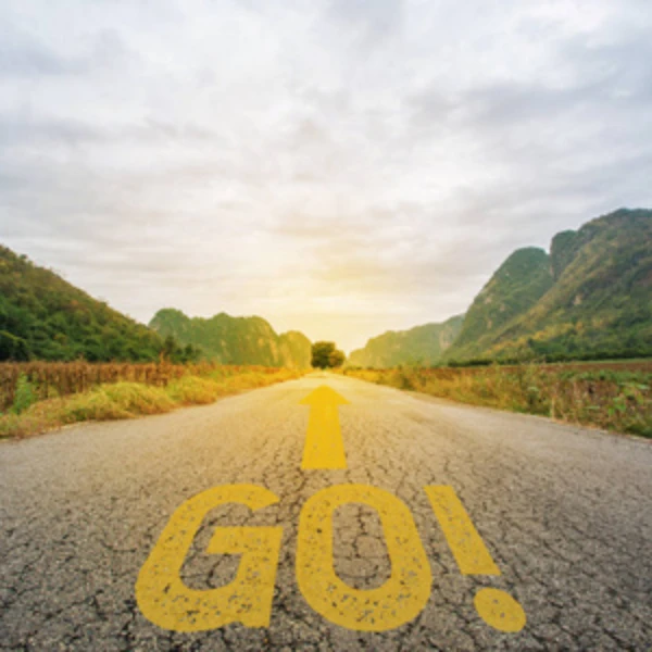 洋 新中式 宋锦旗袍裙 0318