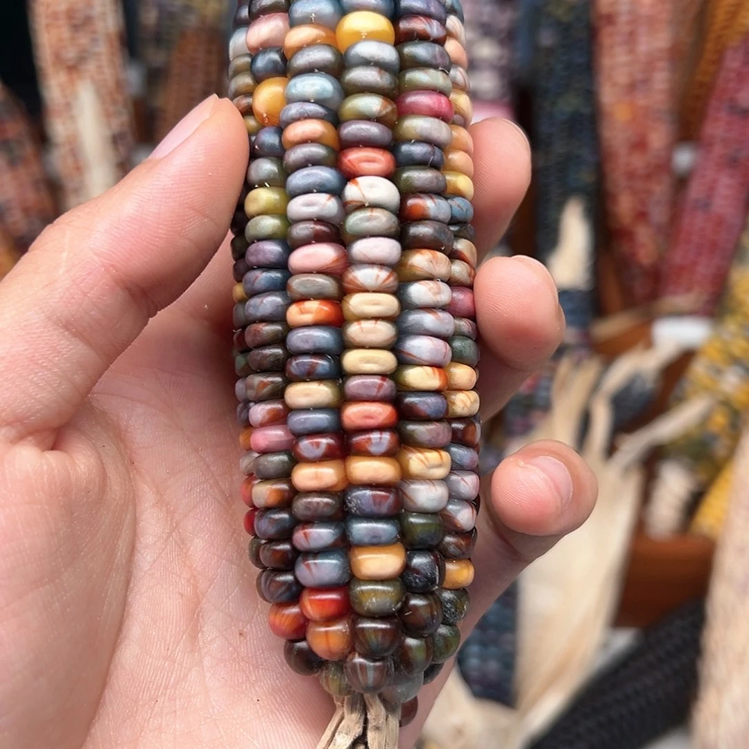 最***生文玩玉米毛料精品