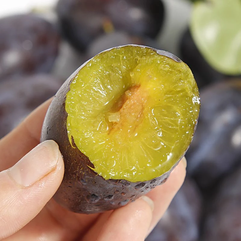 【福利种蓝蜜西梅】新鲜甜种西梅饱满果园肉厚多汁爽口香甜包赔甜蜜