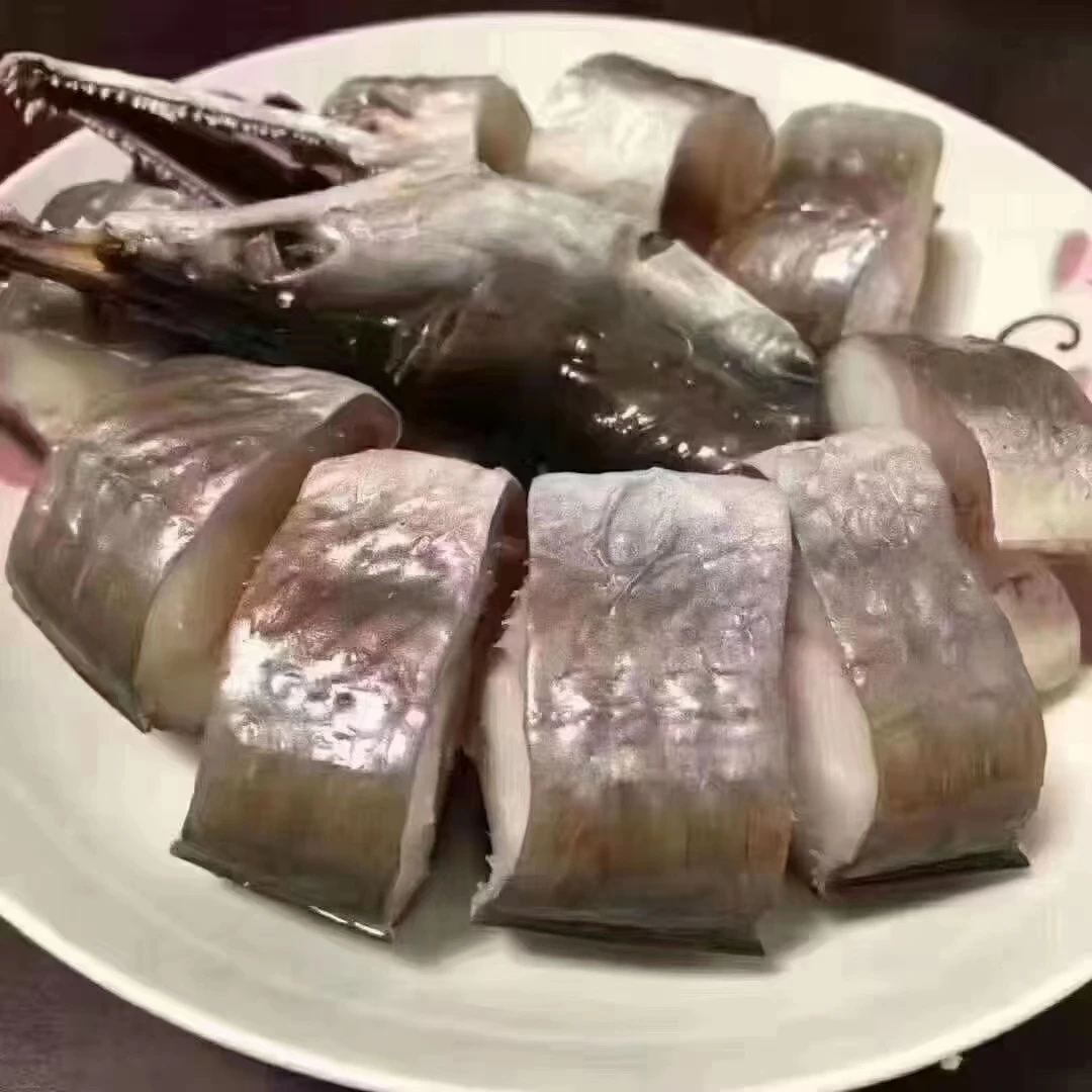 宁波特产舟山风鳗肉质鲜美