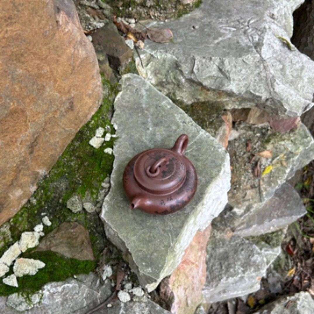 宜兴紫砂壶 单圈 老紫泥 容量约 200cc