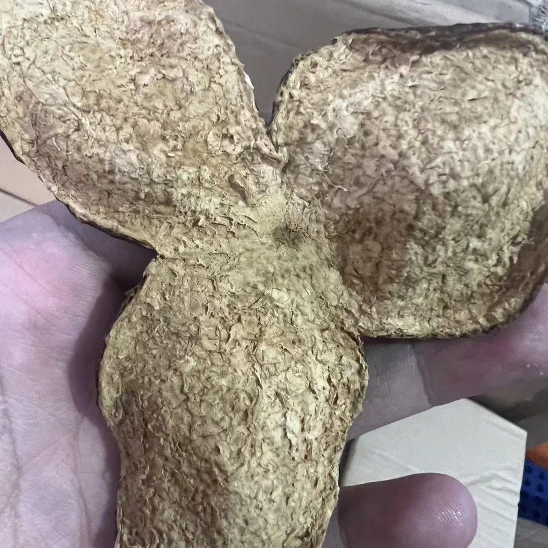 【尝鲜珍藏款】梅江塞口天马陈皮