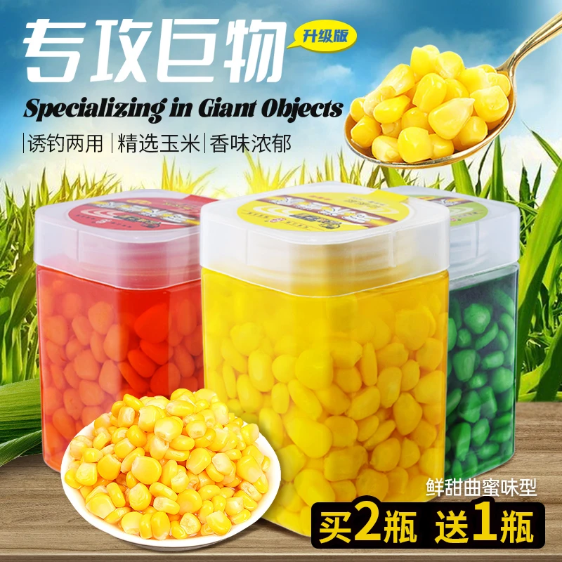 玉米窝料钓鱼甜嫩玉米饵料诱钓野钓鲫鲤鱼草鱼鳊鱼果味大物湖库