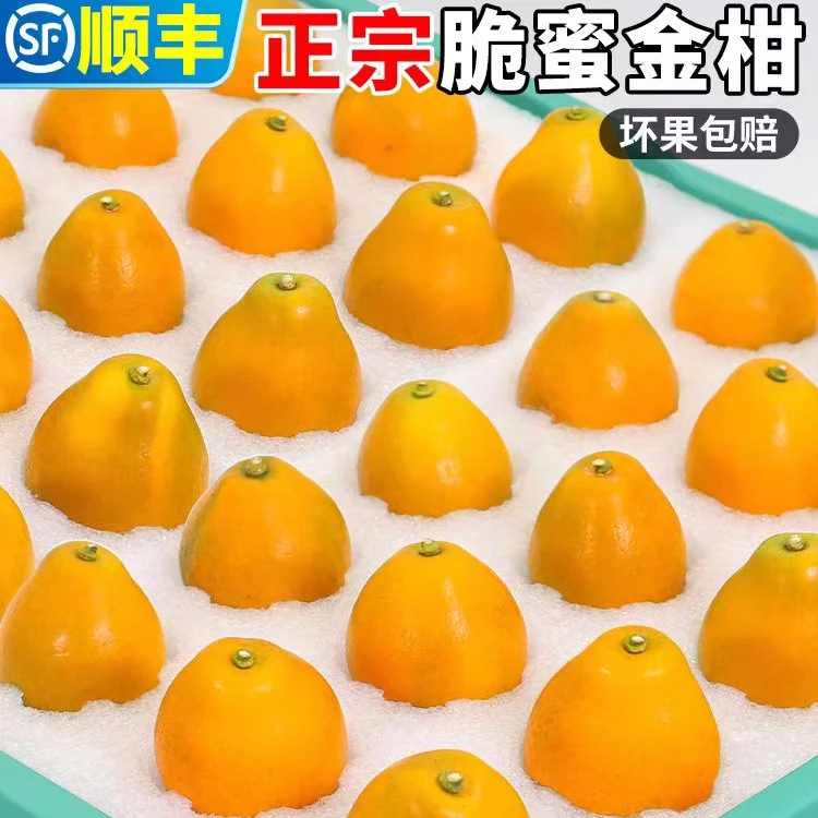2025【精美礼盒第三代脆蜜金柑】纯甜无酸爆甜爆汁无籽礼盒顺丰新鲜