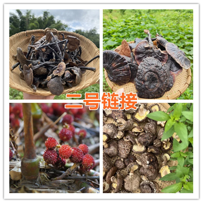 【2号】现称链接土特产 菇