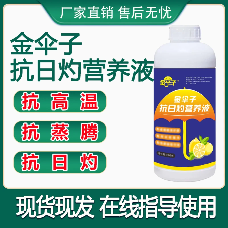 金伞子抗日灼营养液 抗高温 抗蒸腾 抗日灼