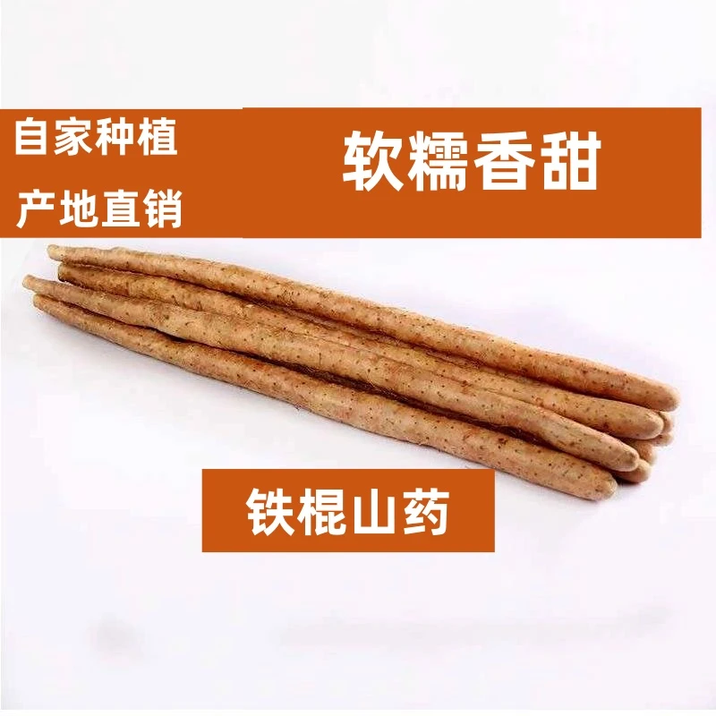 河北蠡县铁棍山药软糯香甜自家种植30-50公分自产自销净重5斤