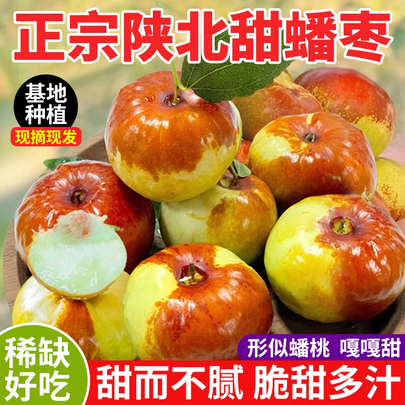 现摘现发新鲜蟠枣3斤5斤新鲜果果子口感脆甜新鲜水果农家精选绿色